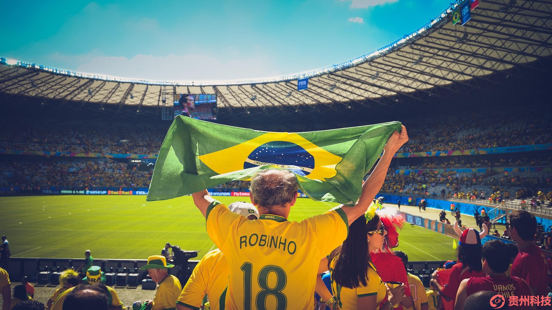 世界杯集团科技有限公司 - 球场草坪养护与跑道维护