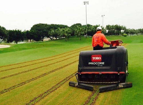 绿茵场外的无声守护 亦是荣光(图1)