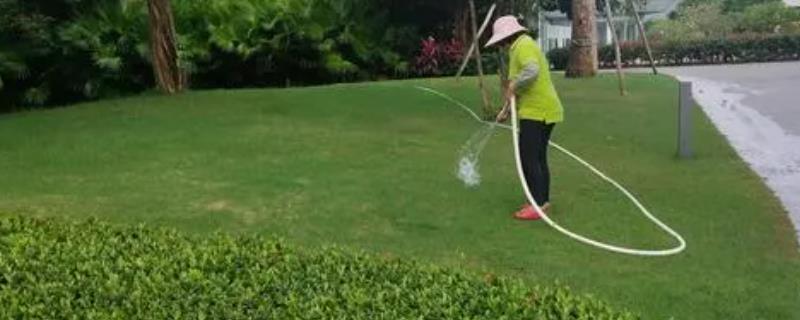 勤梳妆 绿护忙(图1)