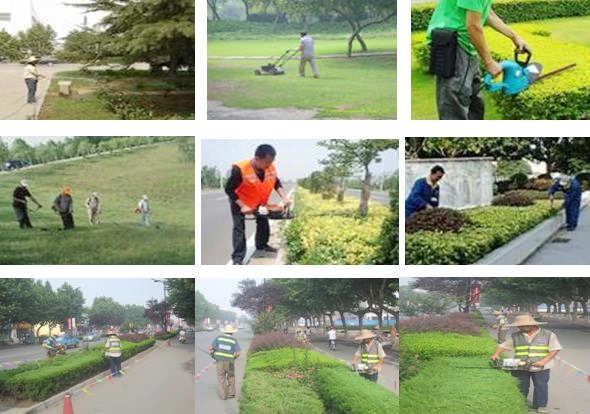 上海“网红”滑草坡热议不断还有比加强管理和预约更好的办法(图1)