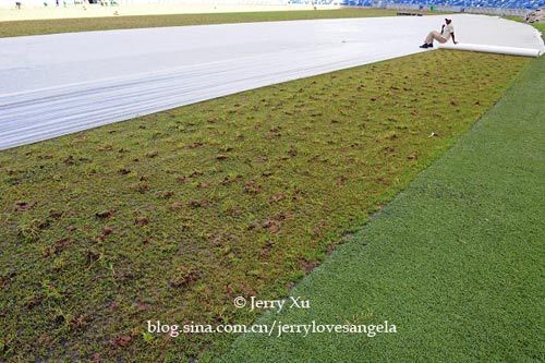 欧冠生死战前上演草皮大战！弗里克投诉马竞主场草皮超标欧足联介入检查。巴萨首回合0-2落后翻盘前先打场地心理战(图1)