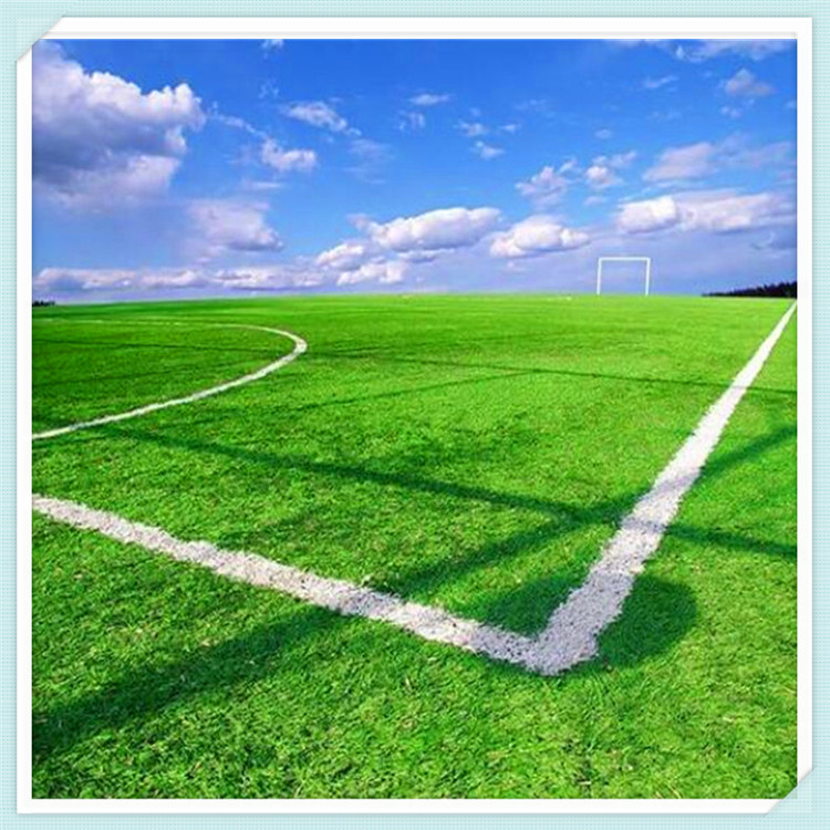 漳州体育场改造升级备战“闽超”！全新面貌迎接2026年城市足球联赛(图1)