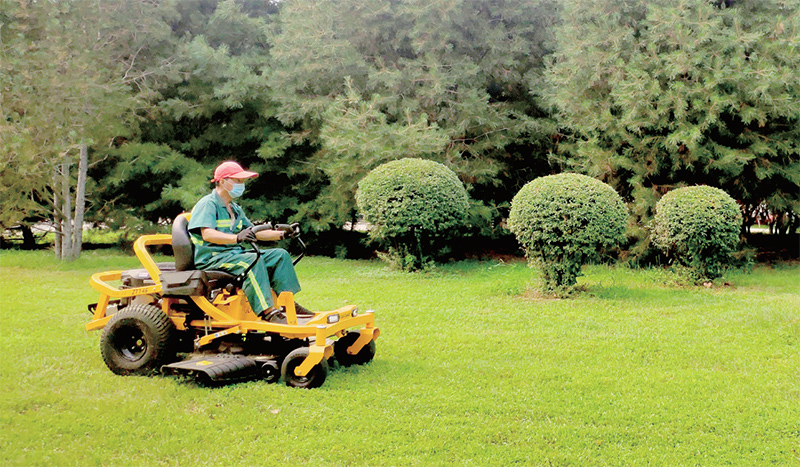 12月10日有网友在社交平台发布视频称有工作人员给枯黄草皮喷洒绿色液体喷洒过后草皮瞬间变绿。兴平市水利局相关工作人员称：当天所绿色液体为营养液目的是为养护。（新黄河）(图1)
