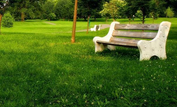 2026年城市生态与园林景观综合服务企业评估报告(图1)