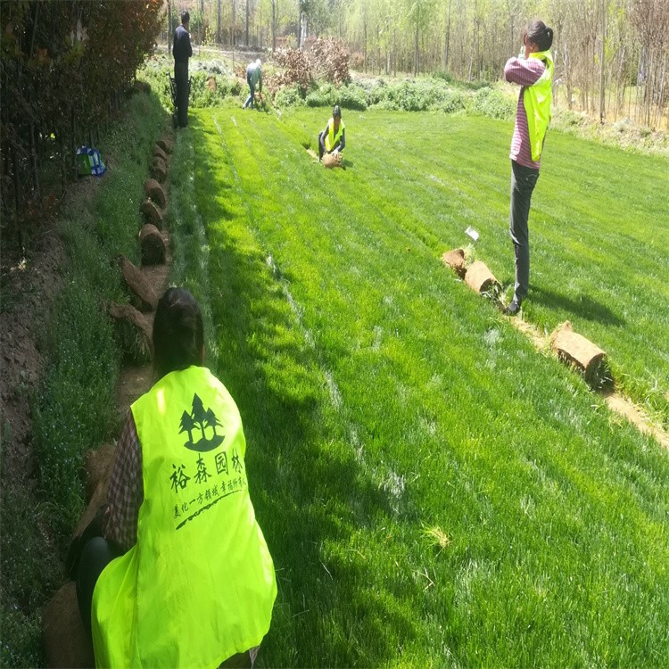 宜春市体育中心足球场全新改造即将开放迎接赣超联赛！(图1)