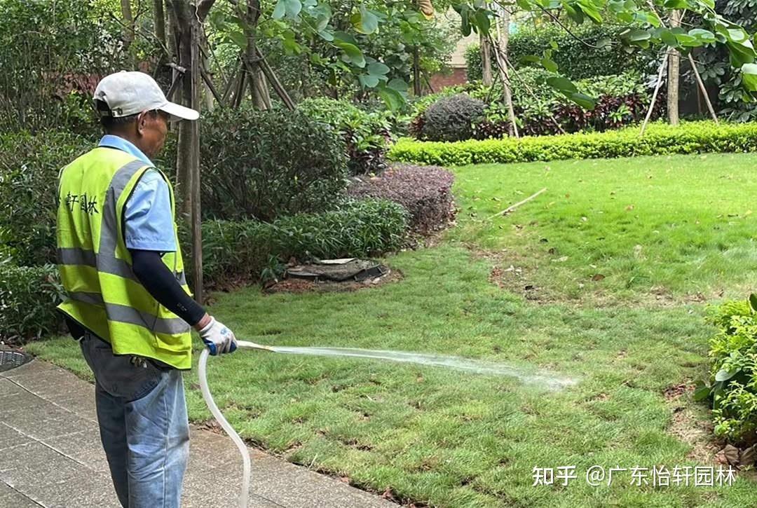 勤梳妆 绿护忙 深耕精细化养护 擦亮园林绿化底色(图1)