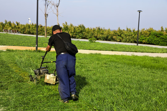 康巴什的“绿色家底”(图1)