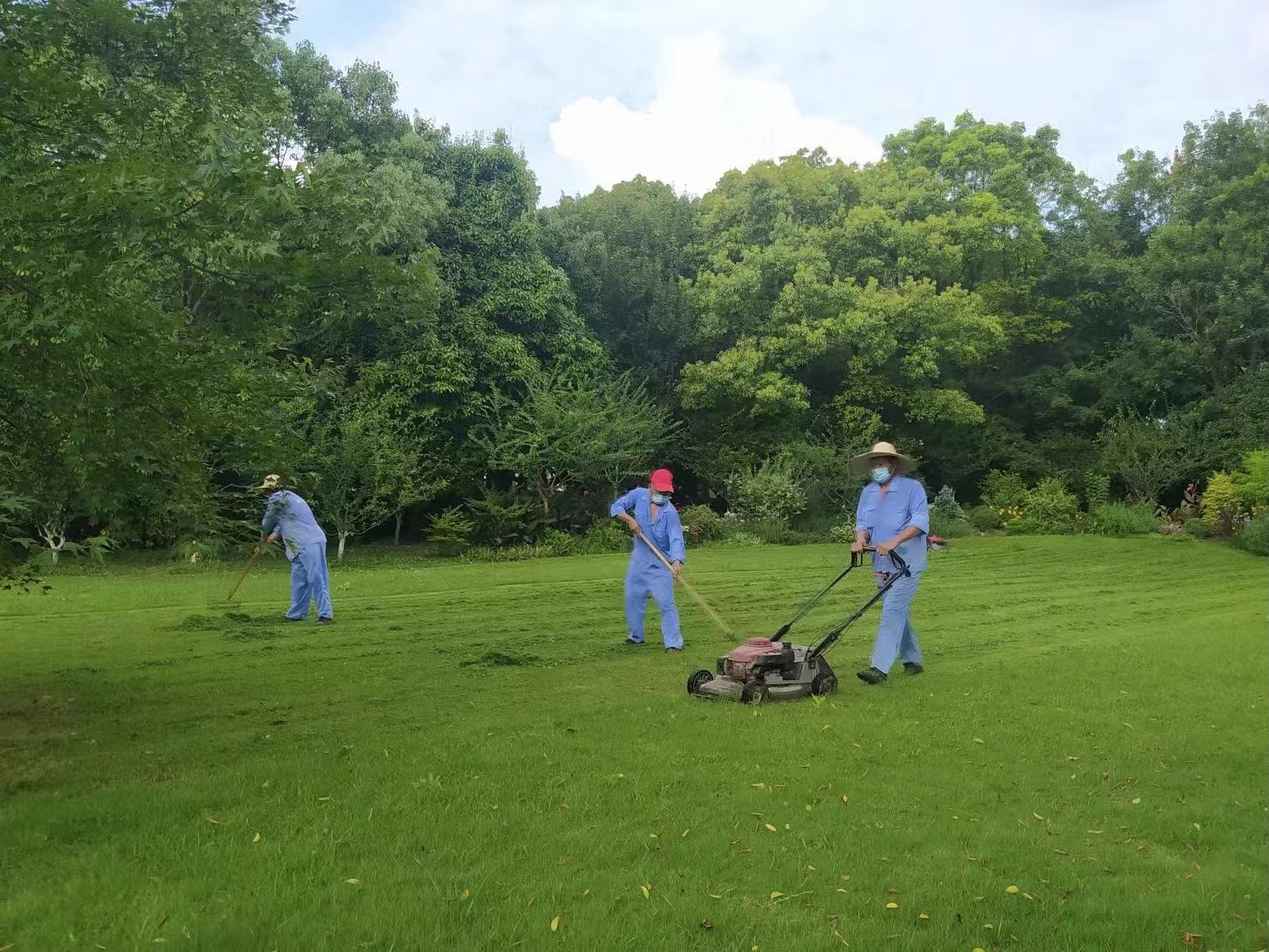 网红绿草坡“管”与“放”之争(图1)