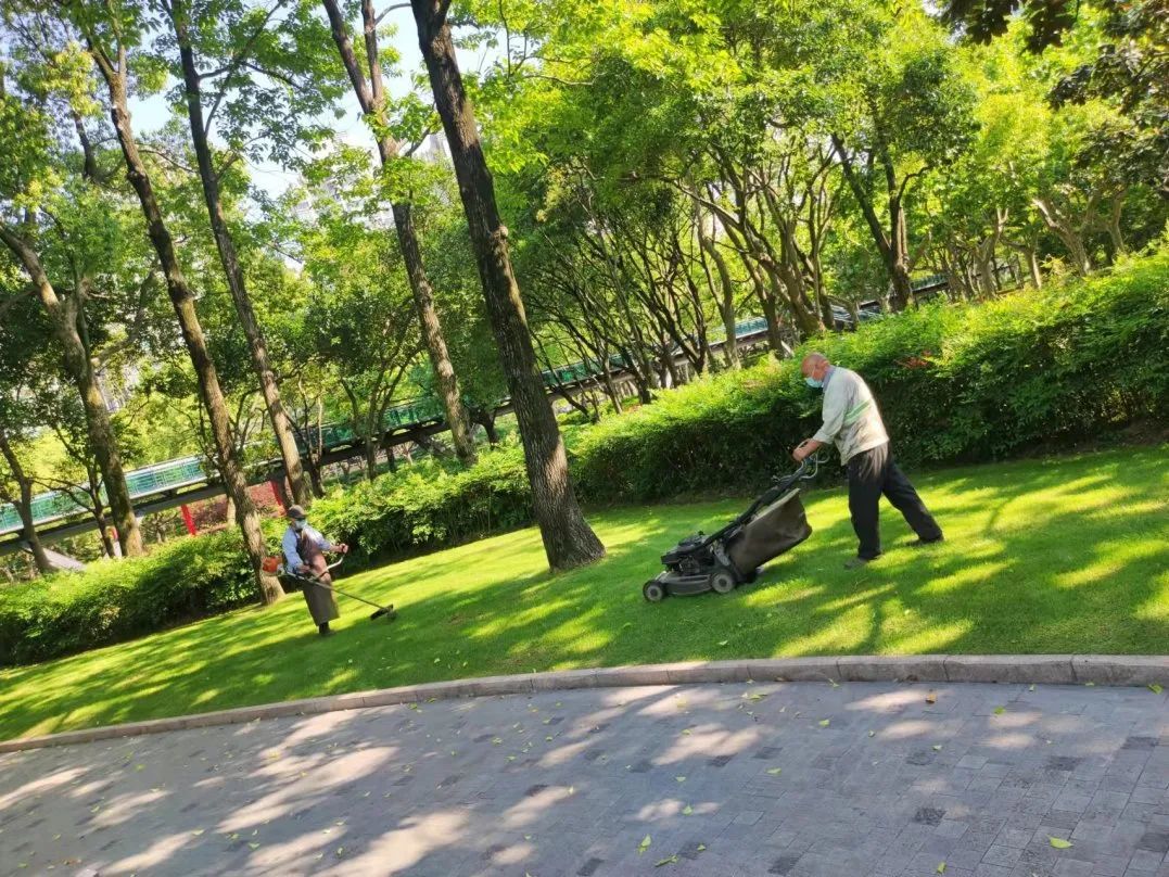 高质量发展看中国(图1)