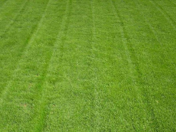 金茂棠前 (售楼处) 官方首页 - 金茂棠前销售中心 - 环境户型价格地址楼盘详情电话交房时间配套电话交房时间(图1)