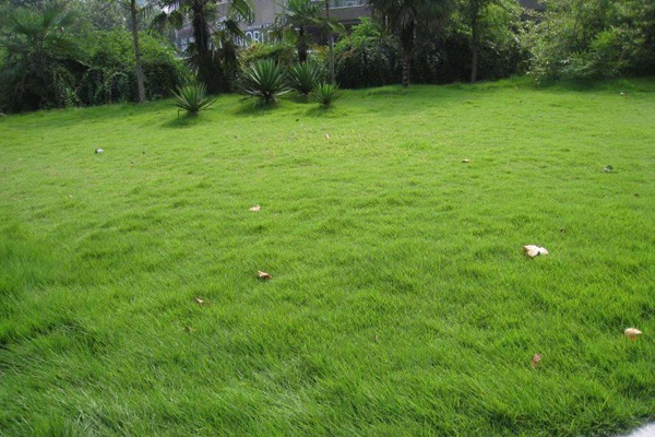 恒文御澜湾官方售楼处@2026428最新!恒文御澜湾官方售楼处地址24小时客服现场销售一对一接待配套介绍地址电话详询(图1)