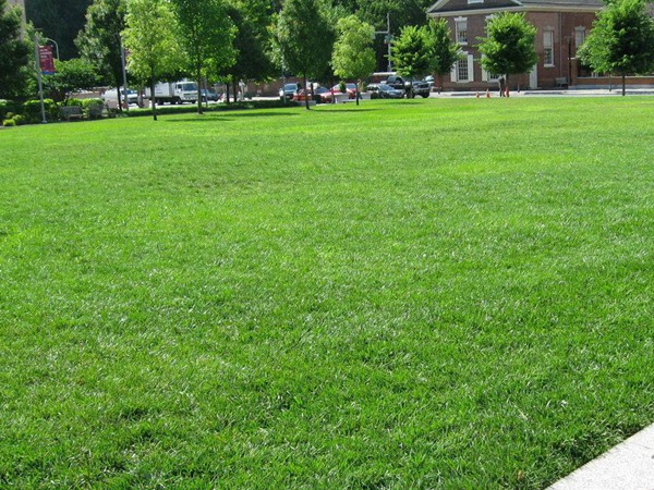 象屿同进虹桥嘉悦府 (售楼处) 官方首页 - 象屿同进虹桥嘉悦府销售中心 - 环境户型价格地址楼盘详情电话配套电话交房时间(图1)