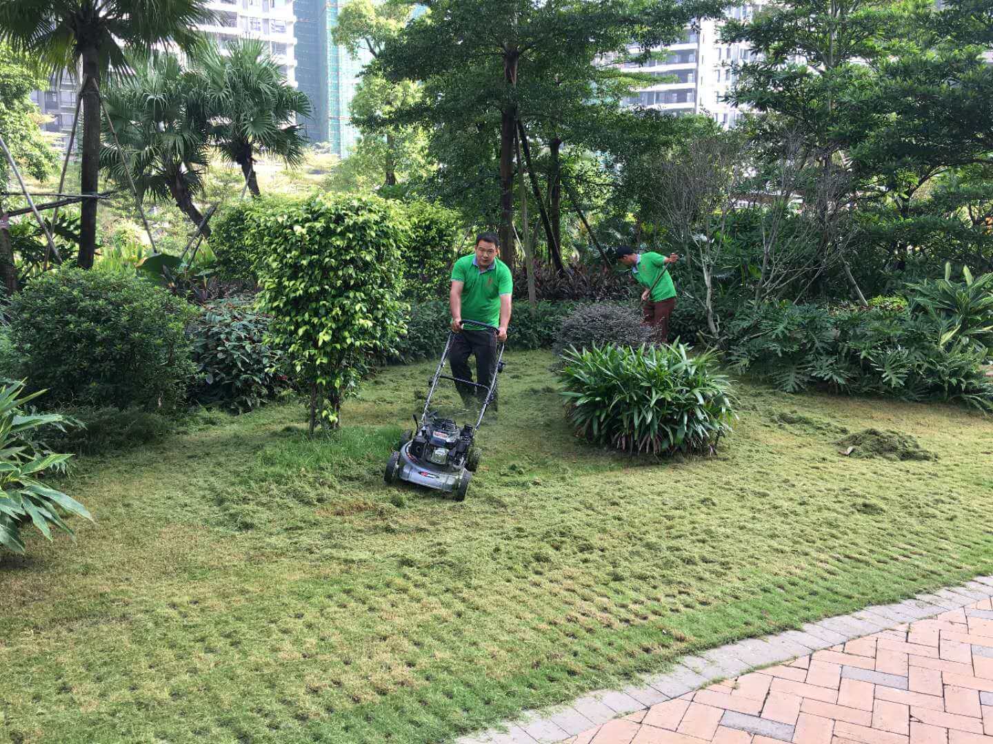 金埔园林:公司未独立大规模销售足球草皮(图1)