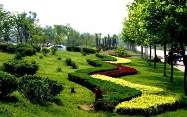 草坪后期养护(图1)