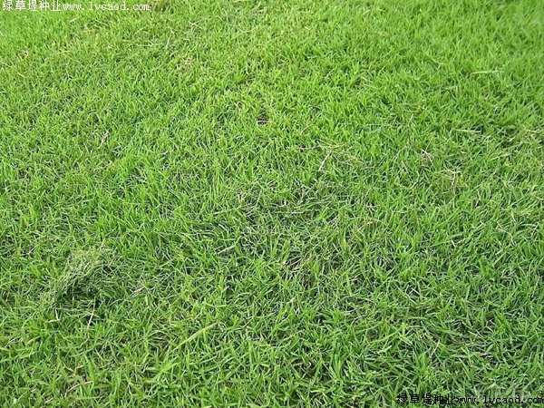 赣州市中小学示范性综合实践活动管理中心物业保洁(含绿化养护)服务项目方案征集公告(图1)
