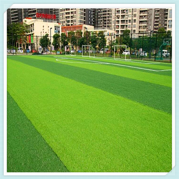 国际足联出售世界杯决赛草皮:球迷可收藏历史价格从450美元起(图1)