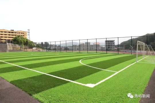2025年FIFA标准足球场人造草坪施工全攻略(图1)
